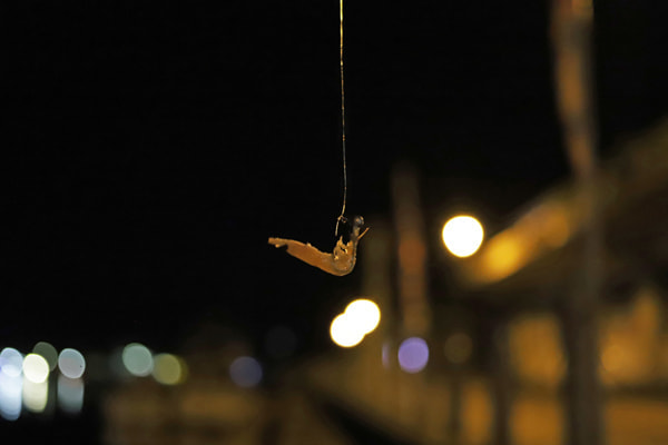 くわせオキアミ