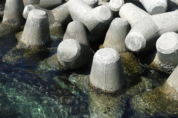 通り矢堤防(田中堤防)