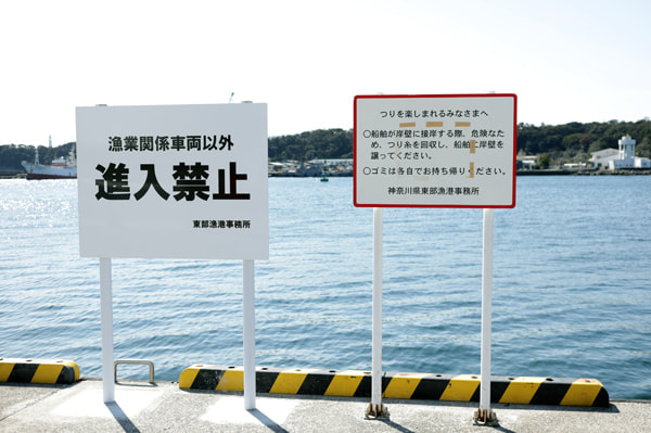 通り矢堤防(田中堤防)