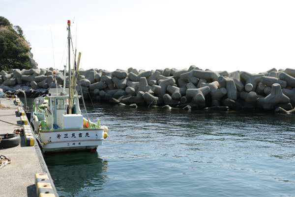 通り矢堤防(田中堤防)