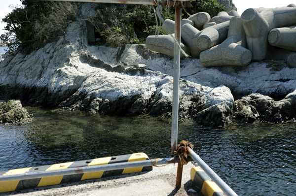 通り矢堤防(田中堤防)