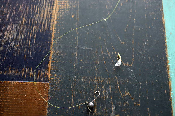 アジング＋サビキ