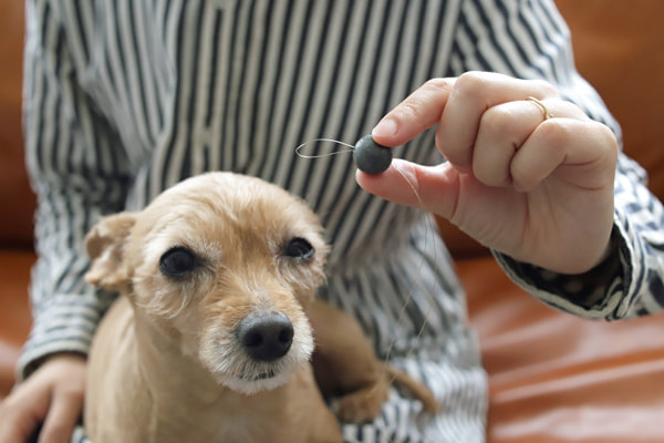 ライトゲーム、ちょい投げ