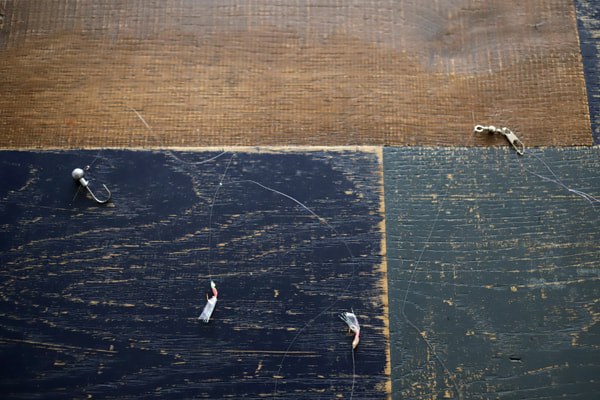 アジング＋サビキ