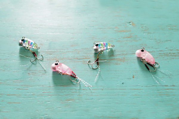 ジャクソン(Jackson) ミジンコ