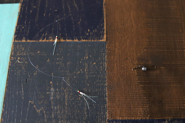 アジング＋サビキ