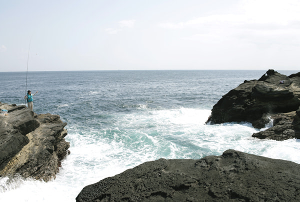 三崎港 釣れない