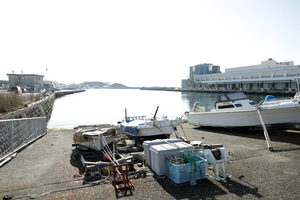 三崎水産物地方卸売市場前