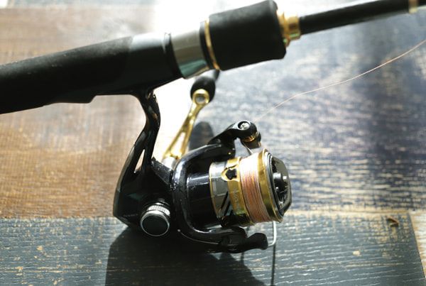 アジングガール