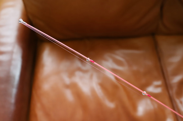 鱒レンジャー アジング