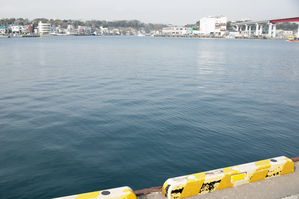 城ヶ島アジング