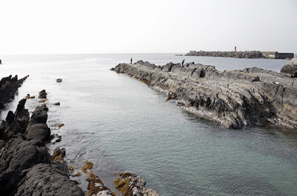 城ヶ島で釣果を目指す
