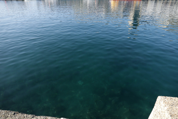 うらりマルシェ前