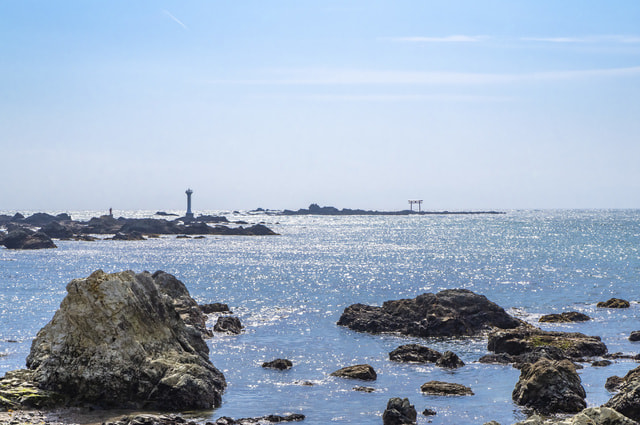 芝崎海岸(芝崎埋立地護岸)