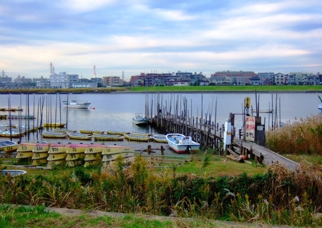 市川港(行徳港)