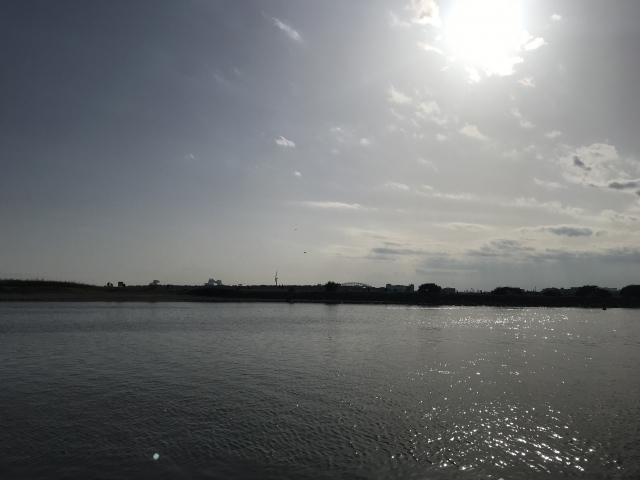 養老川臨海公園(養老川河口)