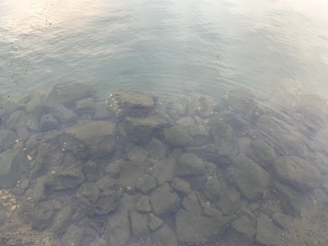 富津みなと公園