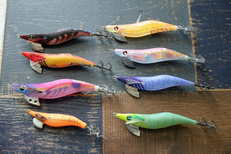 三崎港エギング