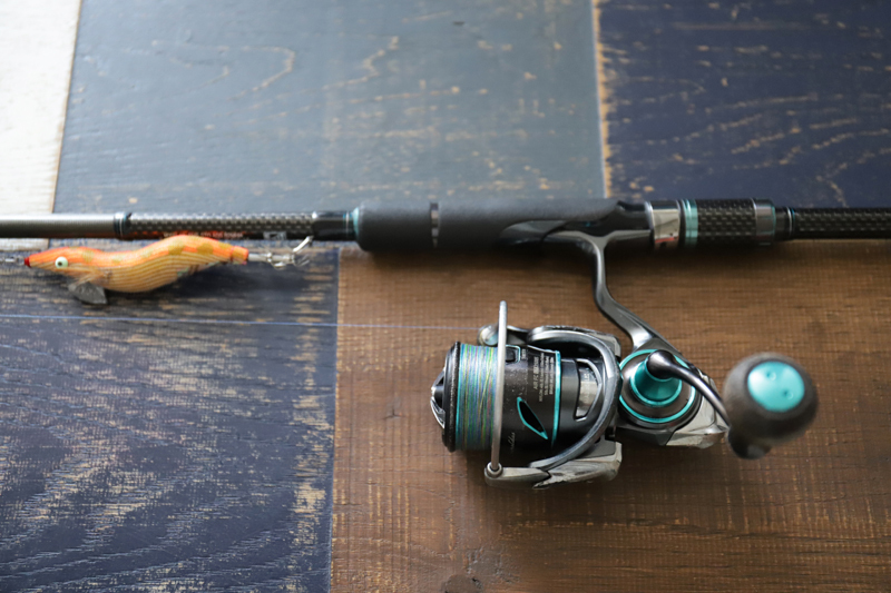 三崎港エギング