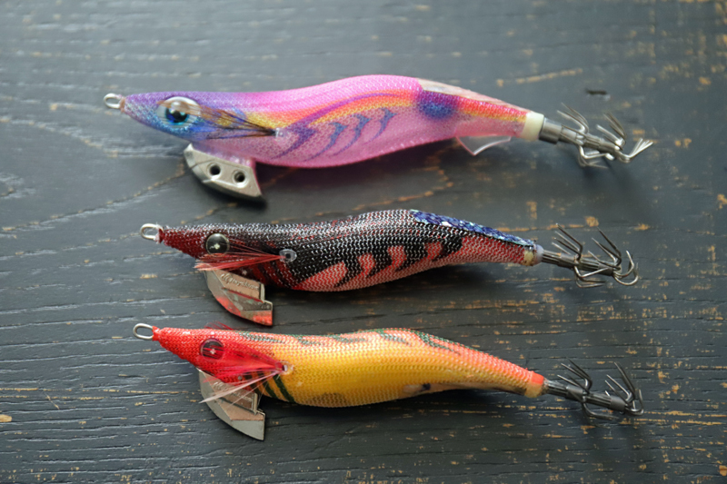 三崎港エギング