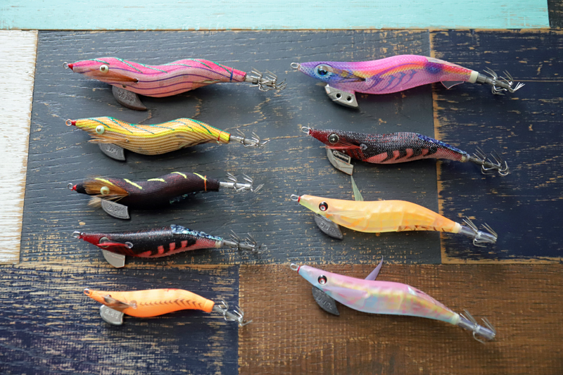 三崎港エギング