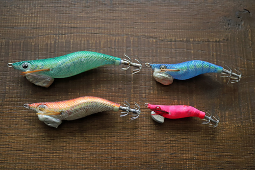 陸っぱりでティップランエギング