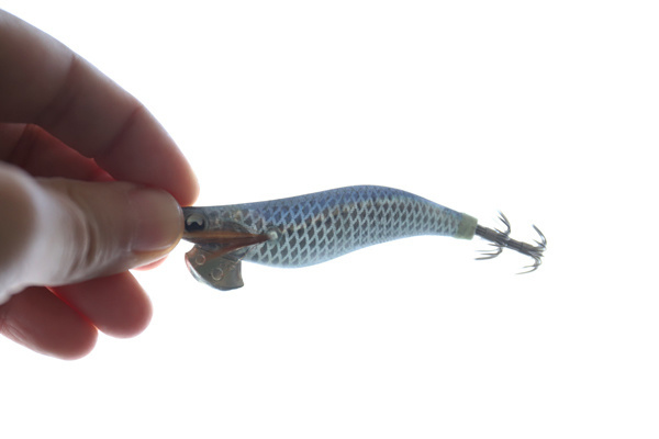 エギングのエギにおけるカラー＆サイズ選択