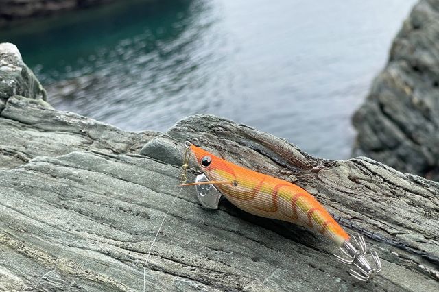テンションフォールは釣れない