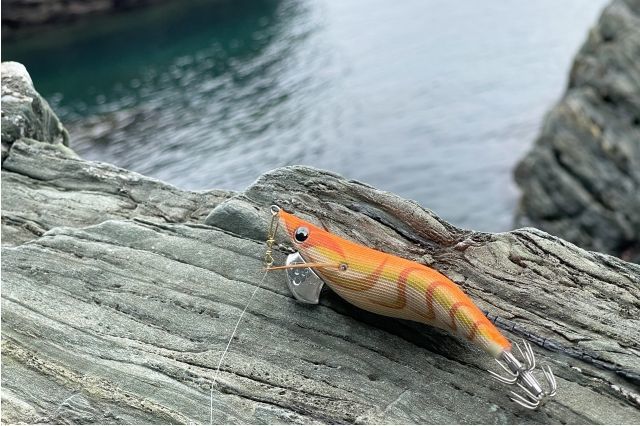 エギングのテンションフォール＆カーブフォールは釣れない？