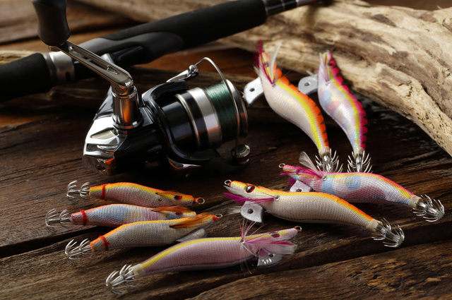 ただ巻きエギングは釣れる！やり方、スピード、向いてるエギ、昼＆夜