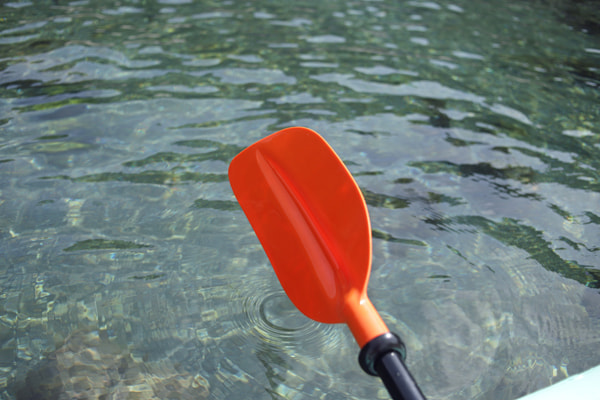 SUP(カヤック、ボート)エギングでイカを釣る