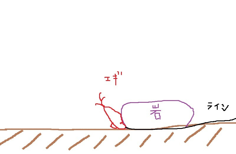 エギをロストさせない