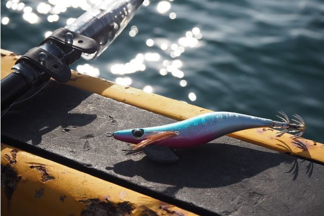 秋イカエギング