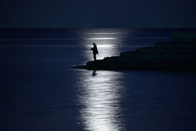 エギングは難しい？簡単？