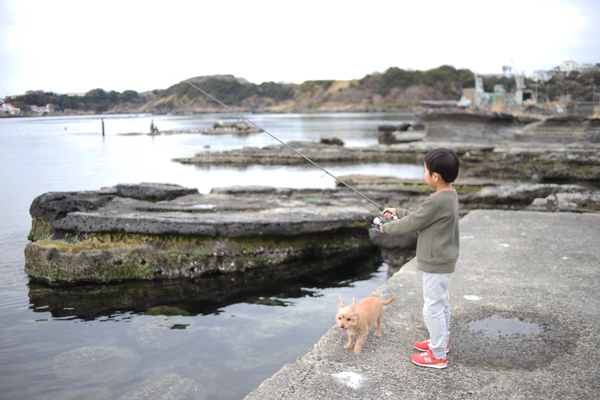 エギングのシャクリ方はエギの特性を活かそう